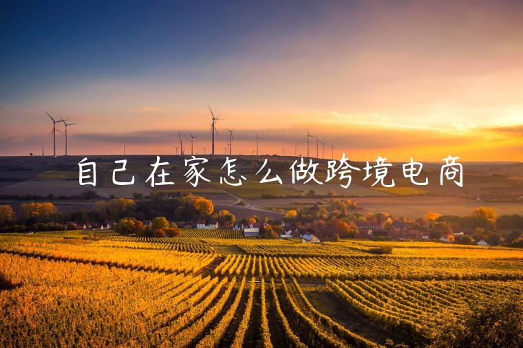 自己在家怎么做跨境電商